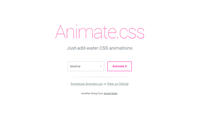 Website