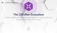Website