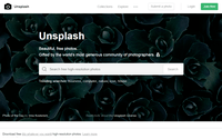 Website